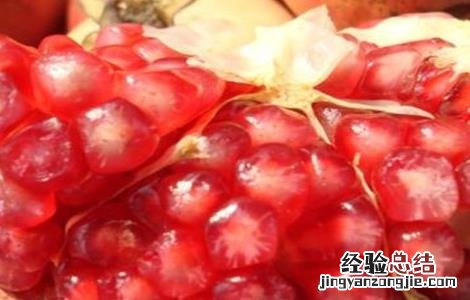 石榴常见种植品种 石榴常见种植品种图片