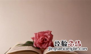 攒花簇锦的释义 花攒锦聚的意思
