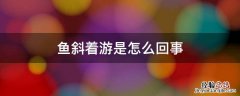 孔雀鱼斜着游是怎么回事 鱼斜着游是怎么回事
