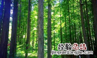 形容秋天的诗句 形容夏天的诗句