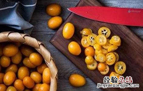 种植金桔的注意事项有哪些 种植金桔的注意事项