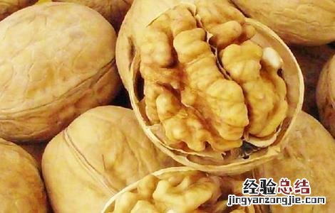 核桃树的管理要点 核桃树的管理要点是什么