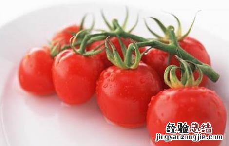 圣女果种植的注意事项 圣女果种植要点