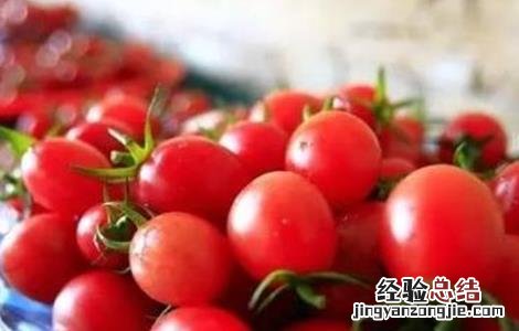 圣女果种植的注意事项 圣女果种植要点
