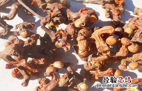 种植拐枣的注意事项 种植拐枣的注意事项和禁忌