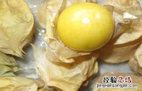 种植姑娘果的注意事项 姑娘果的种植要求