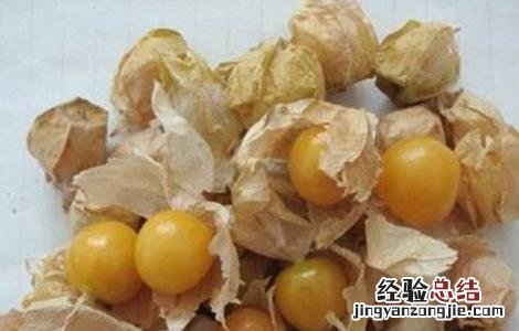 种植姑娘果的注意事项 姑娘果的种植要求