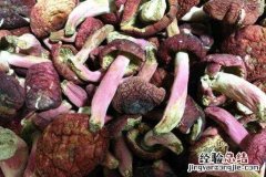 血菇怎么做好吃，血菇的家常做法 鸡血菇的做法