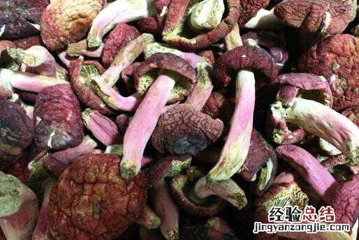 血菇怎么做好吃,血菇的家常做法 鸡血菇的做法