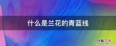 什么是兰花的青蓝线 兰花青蓝线