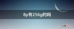 8p有256g的吗 苹果8p有256g的吗