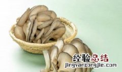 可以食用的蘑菇有哪些 蘑菇识别扫一扫