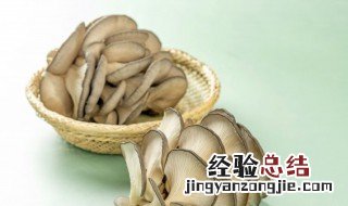 可以食用的蘑菇有哪些 蘑菇识别扫一扫