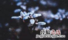 霜降的含义是什么10个字左右 霜降的含义
