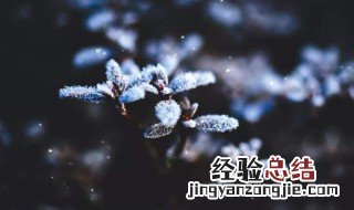 霜降的含义是什么10个字左右 霜降的含义