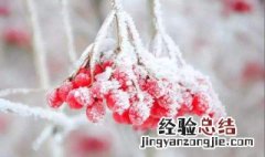 霜降是秋天还是冬天 霜降是在冬天还是秋天