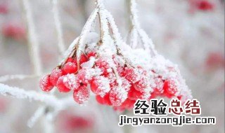 霜降是秋天还是冬天 霜降是在冬天还是秋天