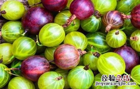种植灯笼果的要求是什么 种植灯笼果的要求
