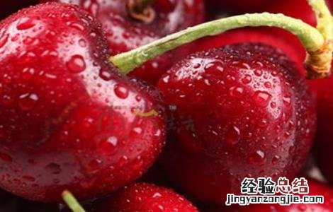 车厘子病害图片大全 车厘子的常见病害及防治