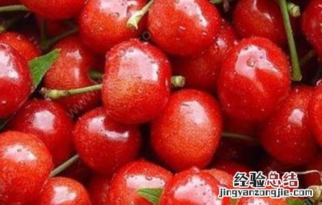 车厘子病害图片大全 车厘子的常见病害及防治