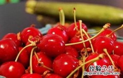 种植车厘子的注意事项 种植车厘子需要注意什么