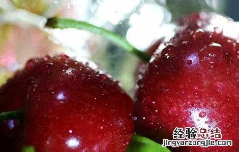 种植车厘子的注意事项 种植车厘子需要注意什么