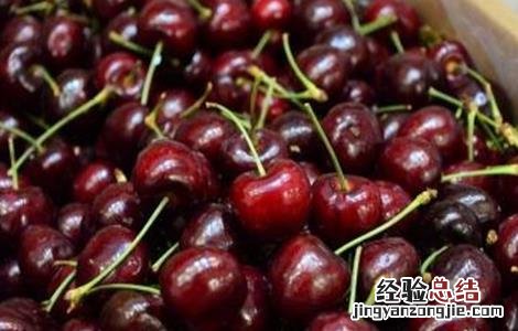 种植车厘子的注意事项 种植车厘子需要注意什么