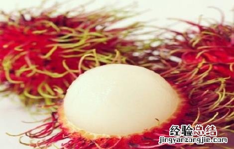 种植红毛丹的注意事项 种植红毛丹的注意事项有哪些