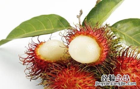 种植红毛丹的注意事项 种植红毛丹的注意事项有哪些