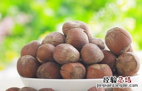 榛子的高产种植技术 榛子的高产种植技术视频