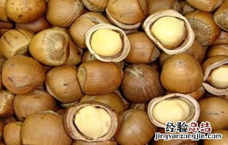 榛子的病虫害防治 榛子的病虫害防治方法