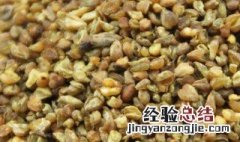 苦荞米的功效与作用及食用方法一 苦荞米的功效与作用