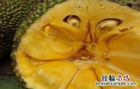 菠萝蜜的主要病害 菠萝蜜的常见病害及防治