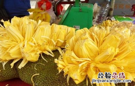 菠萝蜜的主要病害 菠萝蜜的常见病害及防治