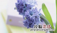 春夏秋冬的诗句 春夏秋冬的诗句各10首