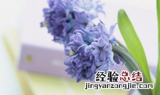 春夏秋冬的诗句 春夏秋冬的诗句各10首
