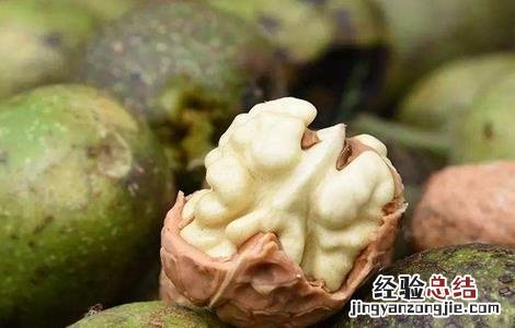 核桃烂果怎么办 核桃烂果怎么治