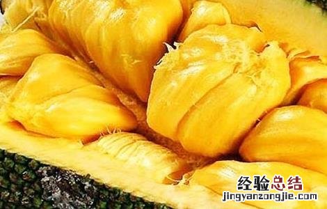 菠萝蜜该怎么种 菠萝蜜该怎么种才能发芽