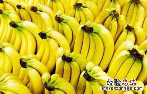 香蕉高产种植技术与管理 香蕉高产种植技术