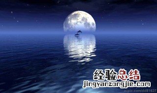 十五夜望月古诗意思解释和表达的意思 十五夜望月古诗意思解释