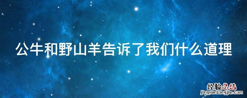 公牛和野山羊告诉了我们什么道理作文 公牛和野山羊告诉了我们什么道理