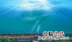 北冥有鱼原文带拼音 北冥有鱼原文带拼音标准版