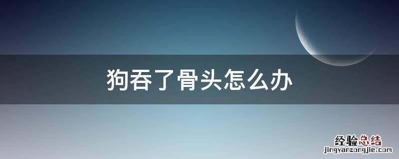 狗吞下骨头怎么办 狗吞了骨头怎么办