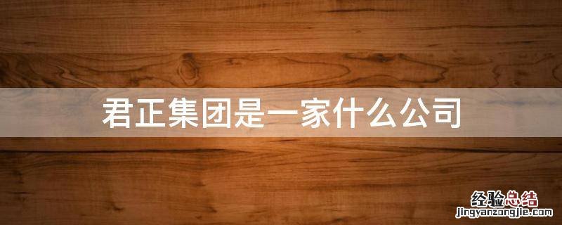君正集团是干啥的 君正集团是一家什么公司