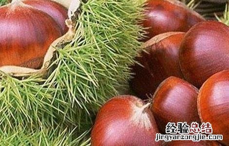 种植板栗的注意事项和要求 种植板栗的注意事项