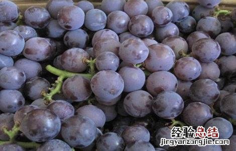 如何提高巨峰葡萄的品质 巨峰葡萄的缺点