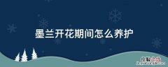 墨兰花开花期间怎么养护 墨兰开花期间怎么养护