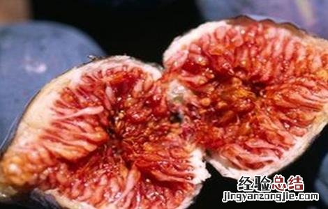 无花果缺氮怎么办 无花果 氮磷钾