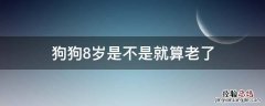 狗狗八岁老吗 狗狗8岁是不是就算老了