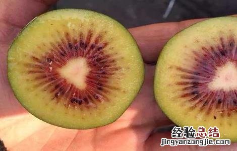 红心猕猴桃高产施肥方法 红心猕猴桃施肥技术